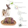 Petawi 70Pcs Timothy Hay Sticks Rabbit Toys, Chinchilla Guinea Pig Bunny Chew Toys Sticks, Hamster Treats Chews Toys for Teeth Bunny Chinchilla Guinea Pig Hamster Small Rodents