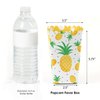 Big Dot of Happiness Tropical Pineapple - Summer Party Favor Popcorn Treat Boxes - Set of 12