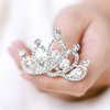 Jakawin Rhinestone Wedding Hair Comb Crystal Flower Girls Headpiece Bridal Tiara Combs Crown Birthday Gift (Sliver)