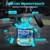 Creatine Monohydrate Gummies 6500mg per Serving for Men & Women - 120 Gummies X5 Strength Sugar Free Chewable Creatine for Muscle Builder, Muscle Strength, Pre-Workout Supplement (Blueberry)