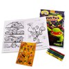 Set Of 15 Teenage Mutant Ninja Turtles Play Packs Fun Party Favors Coloring Book Crayons Stickers