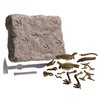 Wonderology – Science Kit – Fossil Discoveries