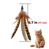 TIENAILING Cat Feather Toys Refills Cat Wand Replacement, 6 PCS Handmade Natural Da Bird Feathers Refill, Cat Toy Feather Replacement for Indoor Cats (B)