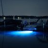 Tidal Wake Plug N' Play Underwater LED Boat Drain Plug Light for boats with 1/2" threaded Drains. No Wiring, No Holes to Drill Plugs into Accessory outlet, Add Lighting in Minutes! (Blue)