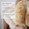 Ginger Chi Dry Brush for Skin, Dry Brushes for Body - Natural Bristle Brush for Dry Brushing Skin (Sisal Dry Brush)