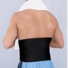 Ace Adjustable Contoured Back Support, 0.50 Pound