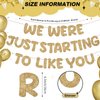 Fulmoon We Were Just Starting To Like You Banner, Going Away Party Decorations Retirement Banner Farewell Party Decorations Goodbye Party Decorations Moving Party Supplies and Gifts (Champagne Gold)