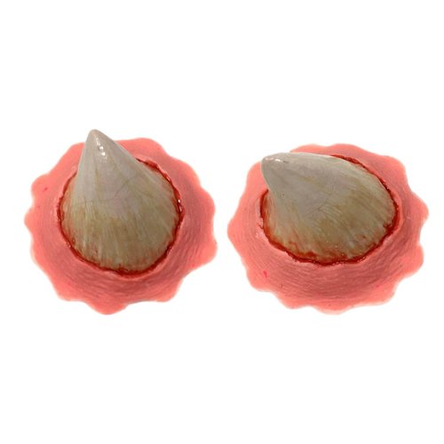 Tinsley Transfers Professional Hollywood Quality Latex Little Horns Stage or Theatrical Prosthetic Makeup