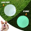 Feixun Dog Glow Ball Toy, Dog Toy Ball Glow in The Dark, 2 Pack