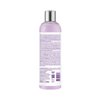 Design Essentials Agave & Lavender Moisturizing & Detangling Conditioner-Blow-Dry & Silk Press Collection - 12oz