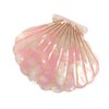 Fantasy Sea Shell Hair Clip,Acetate Hair Clip,Small Claw Clip for Women,Pink, 1 Count (Pack of 1)