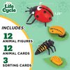 Life Cycle Science Kit Montessori Realistic Figurine, Kids Animal Matching Game with Frog, Ladybug and More Includes 12 Piece, Fun Learning Education Toys Stocking Stuffers for Children 3 4 5 6 7 8