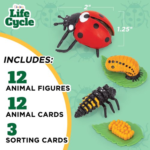 Life Cycle Science Kit Montessori Realistic Figurine, Kids Animal Matching Game with Frog, Ladybug and More Includes 12 Piece, Fun Learning Education Toys Stocking Stuffers for Children 3 4 5 6 7 8