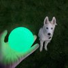 Feixun Dog Glow Ball Toy, Dog Toy Ball Glow in The Dark, 2 Pack