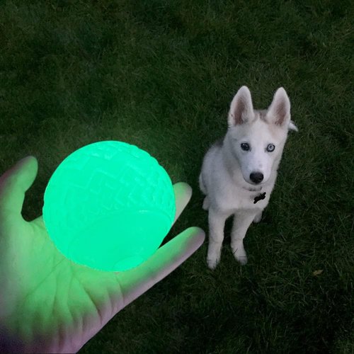 Feixun Dog Glow Ball Toy, Dog Toy Ball Glow in The Dark, 2 Pack