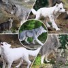 RCOMG 8PCS Wolf Toy Figures, Realistic Wild Animal Wolf Figurines Plastic Jungle Forest Animal Toys Figurines for Kids Boys Girls