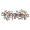 Faship Gorgeous Clear Crystal Floral Hair Clip Barrette