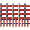 Chile Flag, Chilean Party Favors c
