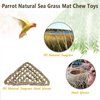 BNOSDM Bird Seagrass Mat, Parrot Natural Seagrass Woven Net Hammock Parakeet Climbing Rope Chew Toys Hideout Bird Cage Accessories for Lovebird Cockatiel Conure Budgie Hamster Rats