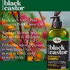Difeel Superior Growth Jamaican Black Castor Shampoo 12 oz. - Sulfate Free Shampoo made with Natural Ingredients
