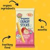 Earth's Best Organic Baby Food, Dissolvable Teething Snack for Babies 6 Months and Older, Strawberry Banana Crunchy Sticks, .56 oz Pack (Pack of 5)