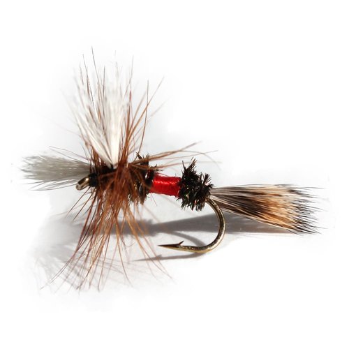 Flies Direct Royal Wulff Assortment Trout Fishing Flies (1-Dozen)