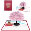 3D Pop Up Greeting Cards 4 Pack Assortment By Aloha Cards | For Birthdays, Thank Yous, All Occasions / Wow Your Loved Ones / Individually Packaged with Envelope and Protective Bag