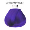 Adore Semi Permanent Hair Color - Vegan and Cruelty-Free Hair Dye - 4 Fl Oz - 113 African Violet (Pack of 2)