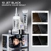 L'Oreal Paris Feria Multi-Faceted Shimmering Permanent Hair Color, High Intensity Hair Dye for 3X Highlights, 10 Jet Black (Blackest Black), 1 Hair Dye Kit