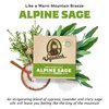 Dr. Squatch Men's Bar Soap - 5-Pack Alpine Sage - All Natural Bar Soap for Men - 5 Bars of Soap - Smell like a Warm Mountain Breeze