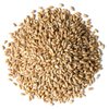 Food to Live Wheat Berries, 1 Pound – Sprouting for Wheatgrass, Kosher, Raw, Vegan, Bulk
