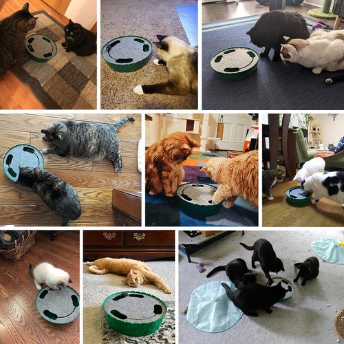 Pawaboo Interactive Cat Toy with Running Mouse, Electronic Motion Cat Toy Automatic Teaser for Indoor Cats, Pop and Play Hide Seek Cat Toy Hunting Mouse for Pet Cat Kitten Play Fun Exercise, Green