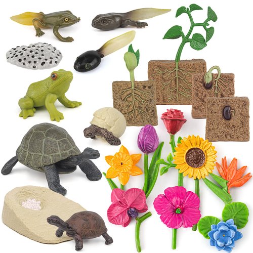 Atralo Service Life Cycle Model Figure Playsets 21 PCS Plant Frog Tortoise Growth Cycle Plastic Flower Toys Desktop Decoration Collection Party Favors Toys for Boys Girls Kids