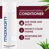 HAIR CLUB Daily Moisturizing Conditioner for Dry Damaged Hair, 8 Fl Oz, Deep Conditioning Hair Treatment for Color Treated Hair, Green Tea Scent