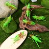 Toyvian 10 Pcs Green Grasshopper Toy Simulation Prank Toy for Kids Halloween Party Favors