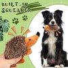 Funtery 4 Pcs Hedgehog Dog Toy Plush Dog Toy Interactive Dog Toys for Boredom Hedgehog Chew Toy Stuffed Biting Training Playing Toy Hide and Seek Dog Squeaky Toy for Puppy, 7.87 Inch Brown(Hedgehog)