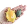 1 Hatch a Turtle Ocean Animal Grow in Water - Add Water and it Grows up to 4" - Sea Critter Toy Bath Fun Science Expanding Novelty Magic Absorbent Polymer Toy