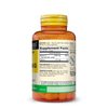 MASON NATURAL Vitamin C 500 mg Delayed Release - Formula for All Day Antioxidant Protection, Promotes Healthy Immune System and Cell Support, 100 Caplets