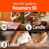 H’ana Rosemary Oil for Hair Scalp - 100% Natural Rosemary Essential Oils for Skin, Diffuser & Aromatherapy - Rosemary Hair Oil for Hair - 1 fl oz