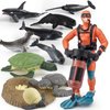 Sea Ocean Marine Animal Model Toy Sets 11 PCS Diver Sea Turtle Life Cycle Narwhal Sperm Whale Killer Whale Figure Toys for Boys Girls Christmas Birthday Gifts