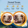 Dogsee Himalayan Yak Cheese Dog Chews with Turmeric (Small - 3 Chews) | Hip & Joint Health Support for Dogs | Rich in Protein & Calcium | Premium Dog Dental Chews