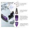 VadiForest Amethyst Dowsing Pendulum Reiki Hexagonal Crystal Stone Bronze Pendant Necklace for Divination, Meditation, Wicca, Energy Generator