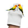 alfyng Bird Training Anti-Bite Gloves, Parrot Chewing Protective Gloves, Small Animal Handling Gloves for Parrotlets Cockatiels Finch Macaw (1 Pair White)