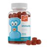 Chapter One Immunity Gummies, Elderberry, Zinc and Vitamin C, Certified Kosher (120 Flavored Gummies)