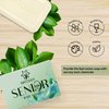 Natouch Body Soap for Aging Skin, Cleansing & Deodorizing Natural Soap Bar with Peppermint and Tea Tree Extract to Help with Nonenal Body Odor