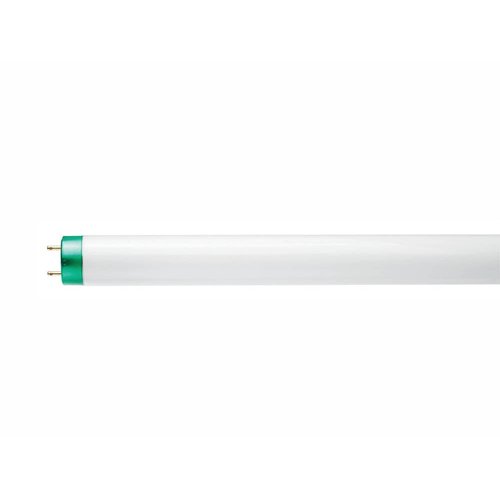 PHILIPS 25W 36in T8 Bright White Fluorescent Tube