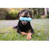 WEST PAW Zogoflex Rumpus Dog Chew Toy – Floatable Toy for Dogs, Aggressive Chewers – Puppy Chewing Toys for Catch, Fetch – Recyclable, Dishwasher-Safe, Medium 6.25", Aqua Blue