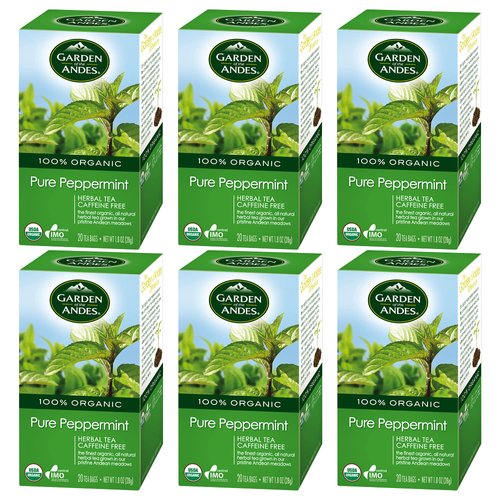 Garden of the Andes Herbal Organic Decaf Peppermint Hot Tea Bags, 0.9 oz, 20 Tea Bag Count (Pack of 6 Boxes)