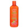 Cantu Guava Shampoo Scalp Relief 13.5 Ounce (400ml) (Pack of 2)