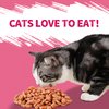 Just Try 13.4 OZ Urinary Tract Cat Treats for Indoor Cats Health Supplement Cranberry & D-Mannose for Kidney Bladder UT Support Salmon Flavor Crunchy Chews Cat Loves